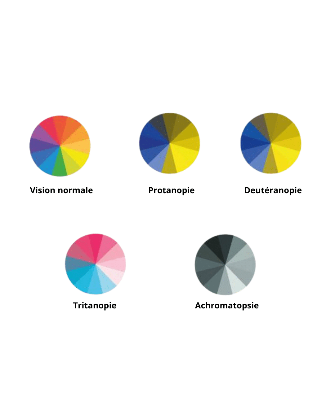 daltonien,daltonisme,vision des couleurs,test daltonisme,types de daltonisme,trouble de la vision des couleurs